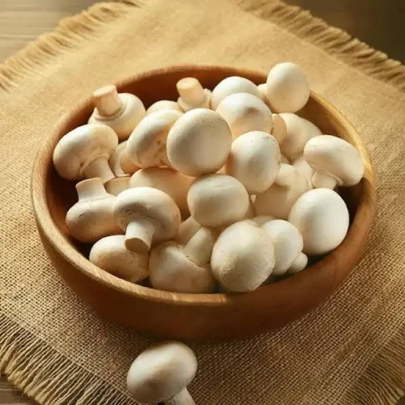 Signature Wood-Fired Mushroom and Caramelized (Digital)